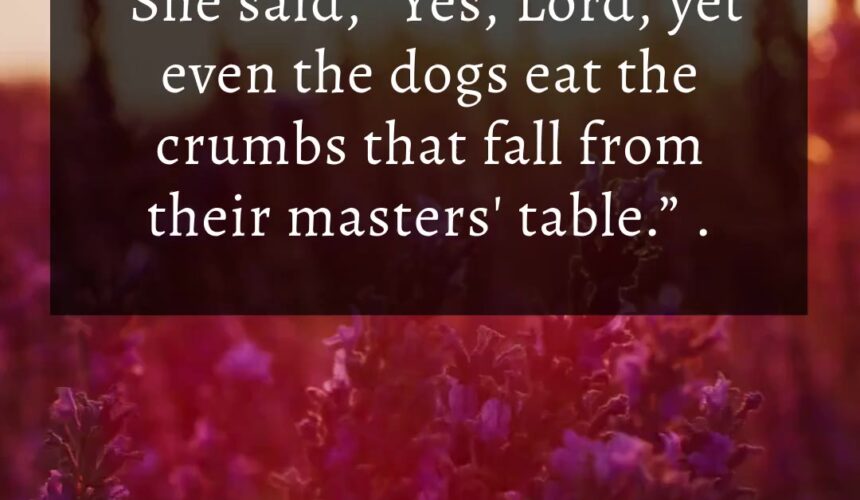 Matthew 15:1-28 “Lip Service or Living Faith?”