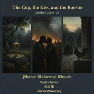 Matthew 26:36-75 “The Cup, the Kiss, and the Rooster”
