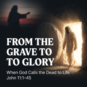 From the Grave to Glory : When God Calls the Dead to Life